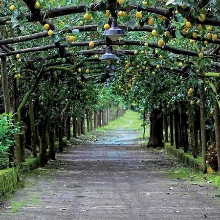 فيلا Agriturismo Il Convento ماسّا لوبْرينسِ المظهر الخارجي الصورة