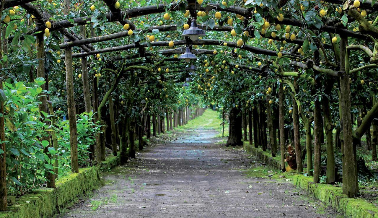 فيلا Agriturismo Il Convento ماسّا لوبْرينسِ المظهر الخارجي الصورة